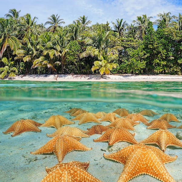 Costa Rica & Panama: Road Adventure zum Nebelwald!