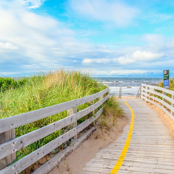 Explore Ontario: Roadtrip, Wildlife & City Scenes!