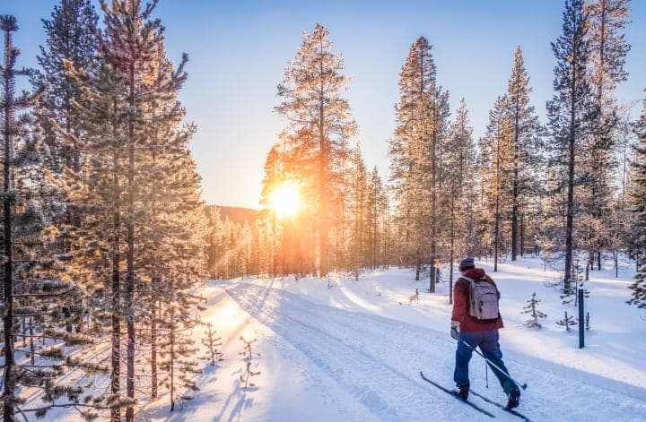 Auf Tourenskiern durch den verschneiten Wald thumbnail